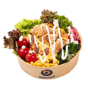 سالاد چیکن میکس