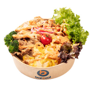 سالاد میکس دونر